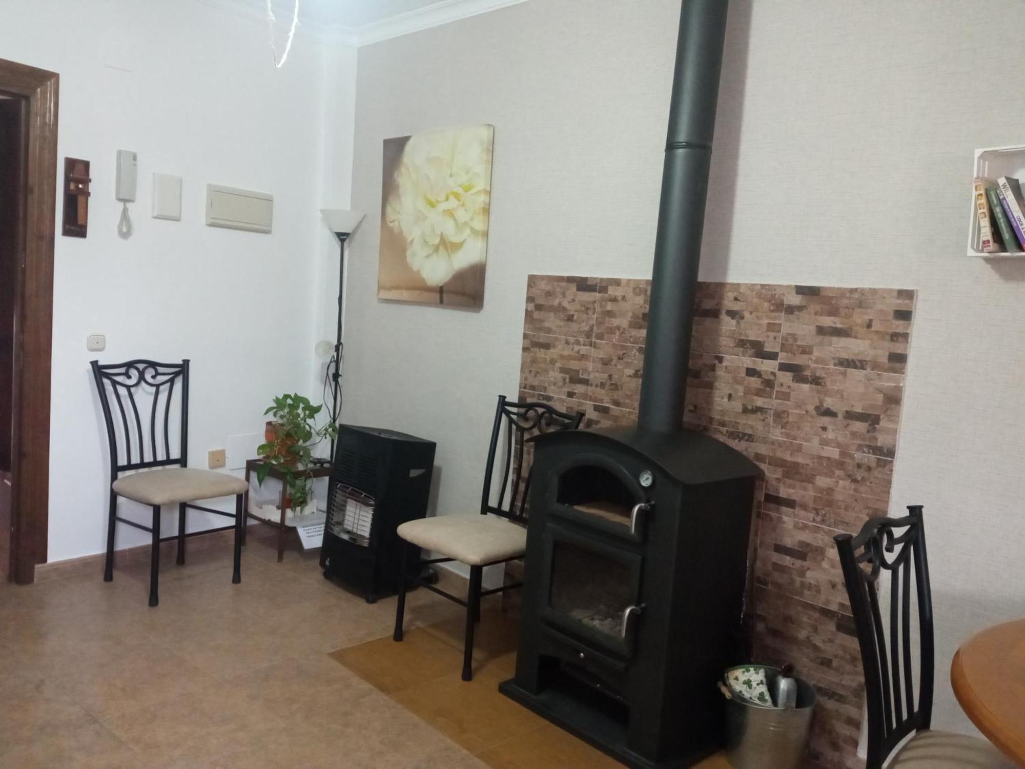 Virgen De Apartamento *