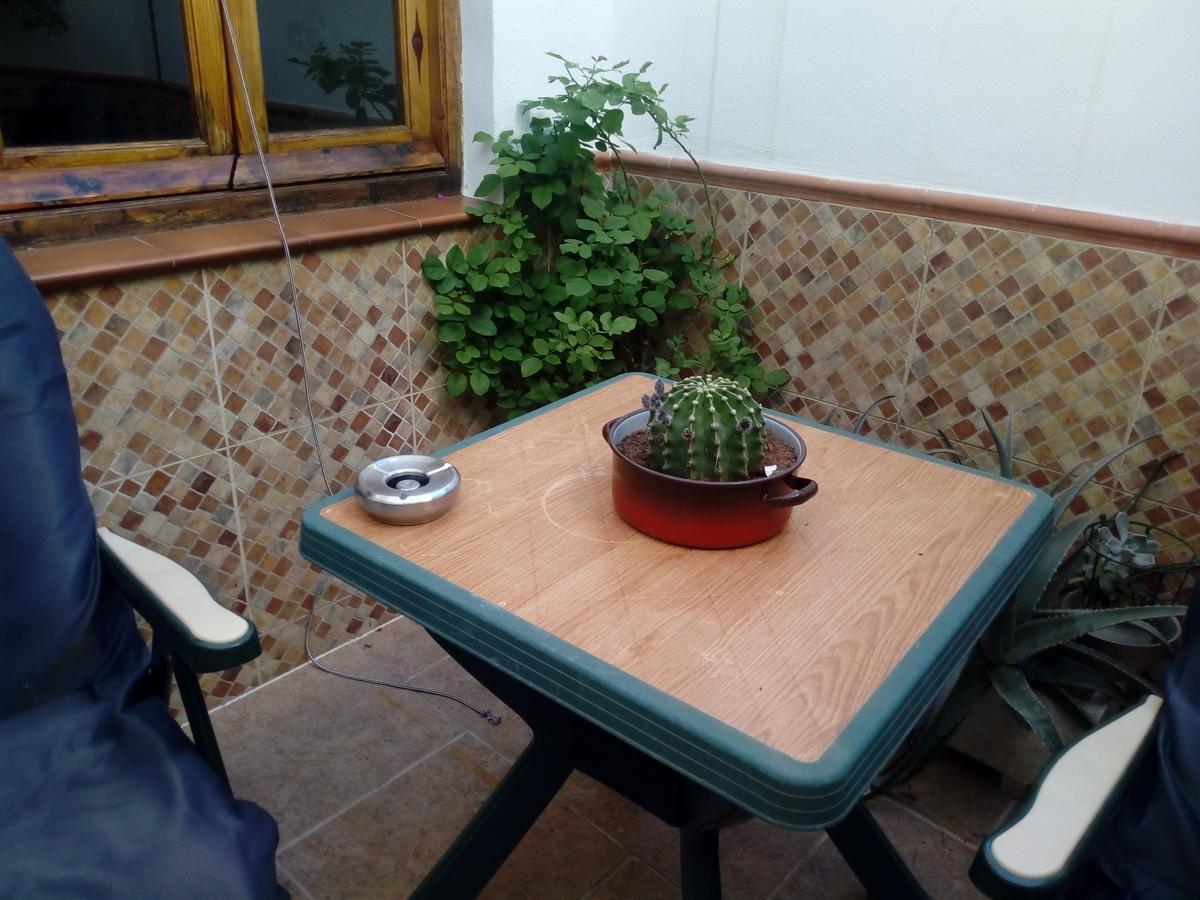 Virgen De Apartamento