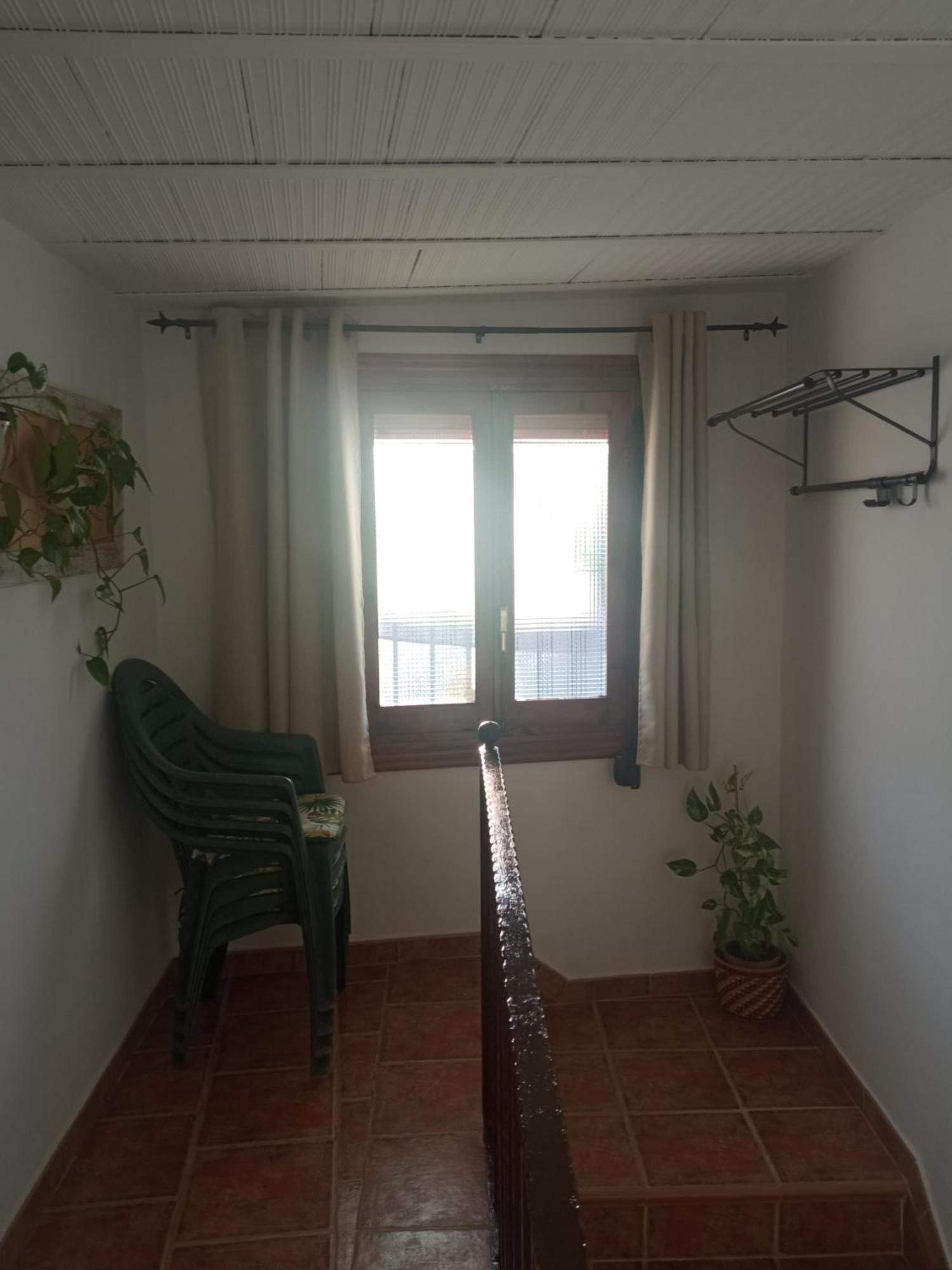 Virgen De Appartement *